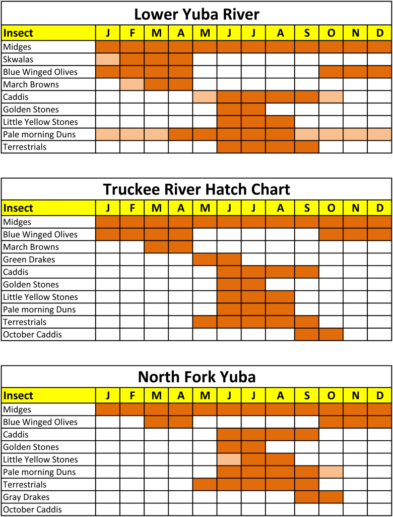 Hatch charts for the Lower Yuba river, the Truckee River and the North Fork Yuba river.