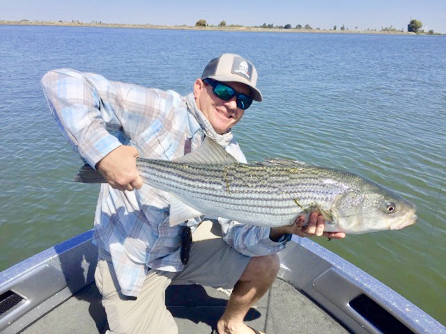 Guide: Bryce Tedford